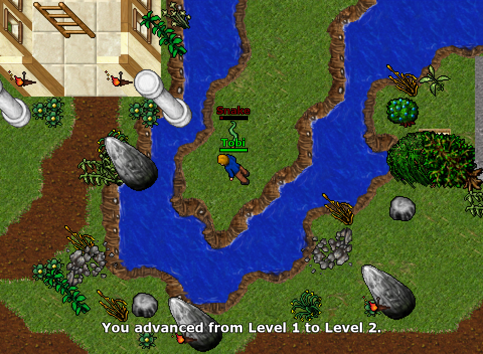 Level 2, entre as cobras a noroeste da vila.