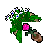 potted flower