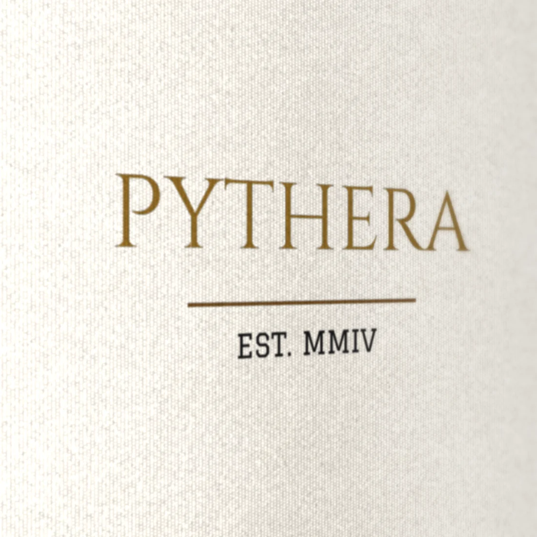 Camiseta Pythera · Oversized Off-white, estampa de lado